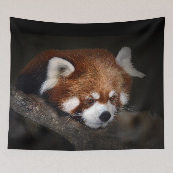 Item preview, Red Panda designed and sold by Savannah Gibbs.