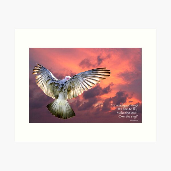 Own the Sky Art Print