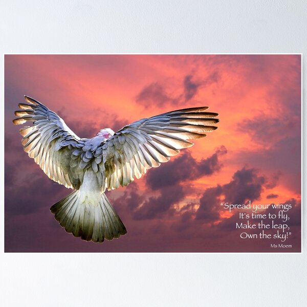 Item preview, Poseer el cielo designed and sold by Elysian Photography.