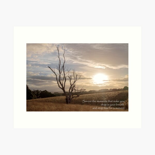 Stop for a Moment Art Print