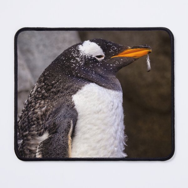 Item preview, Penguin Pose designed and sold by Catherine Reading.