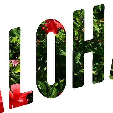 Artwork thumbnail, ALOHA Lettering by lasercatz