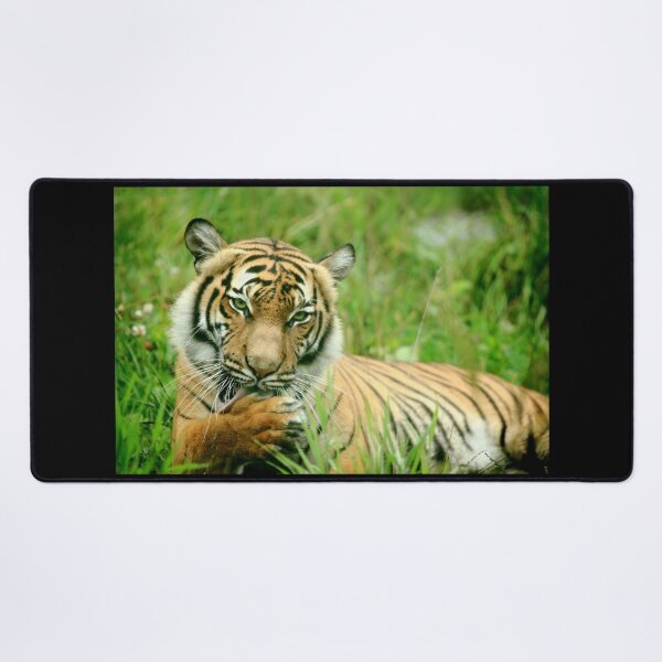 Item preview, Seductive Tigress designed and sold by Daniela Pintimalli.
