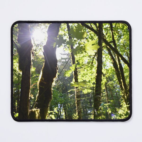 Item preview, Forest sun through the trees designed and sold by Zastar.