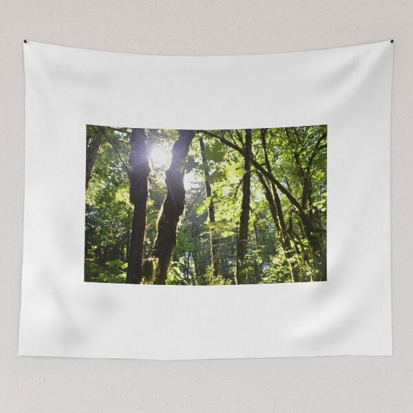 Item preview, Forest sun through the trees designed and sold by Zastar.