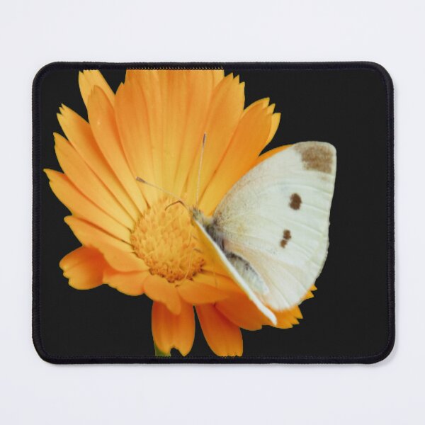 Item preview, Calendula designed and sold by oxyten.