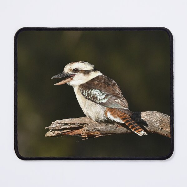 Laughing Kookaburra Mouse Pad