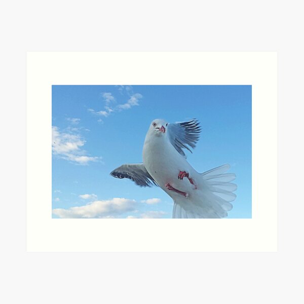 What's Up? Art Print