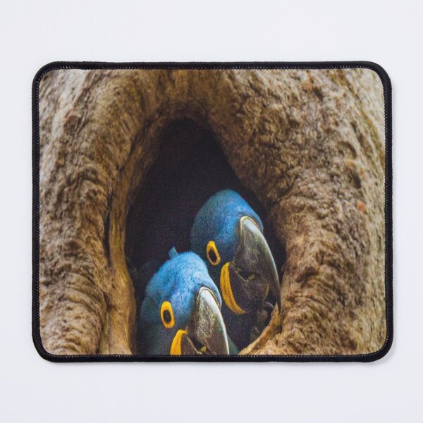 Item preview, Hyacinth Macaw designed and sold by oxyten.
