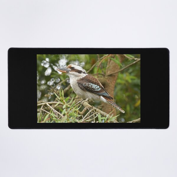 Item preview, Kookaburra designed and sold by quentinjlang.