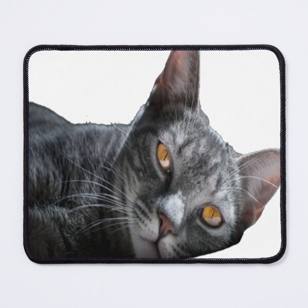 Item preview, Popping Cat designed and sold by oxyten.