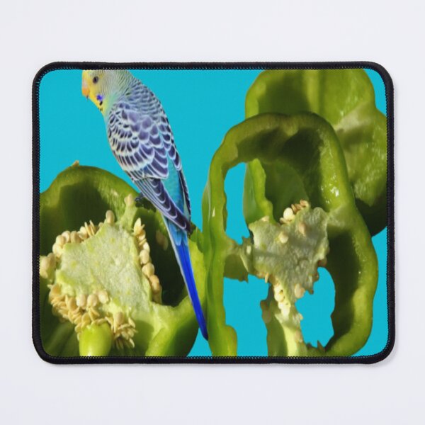 Item preview, Budgie Eating Capsicum  designed and sold by oxyten.