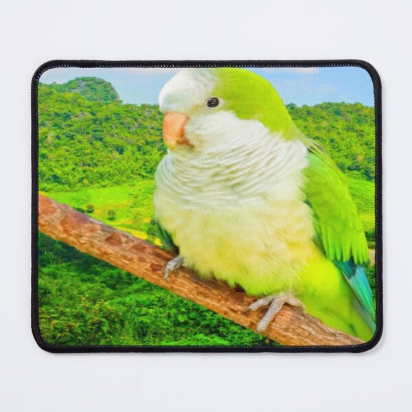 Item preview, Monk Parakeet designed and sold by oxyten.
