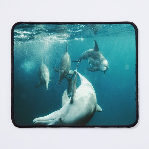 Item preview, Spinner Dolphin  designed and sold by oxyten.