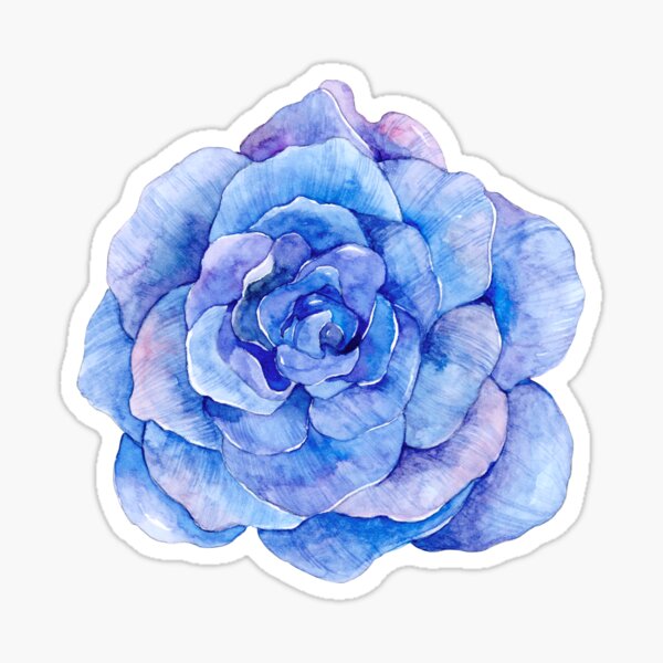 Pegatina «Ilustración de flor rosa acuarela púrpura, flor azul» de  T-SHIRT-2020 | Redbubble