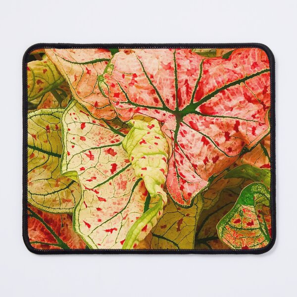 Item preview, Luxurious Red And Green Exotic Leaves Photo Art designed and sold by DEC02.