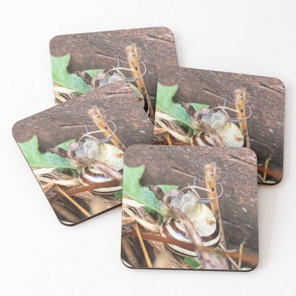 Artikelvorschau, Hainschnecke #07 entworfen und verkauft von A-Snail-Life.