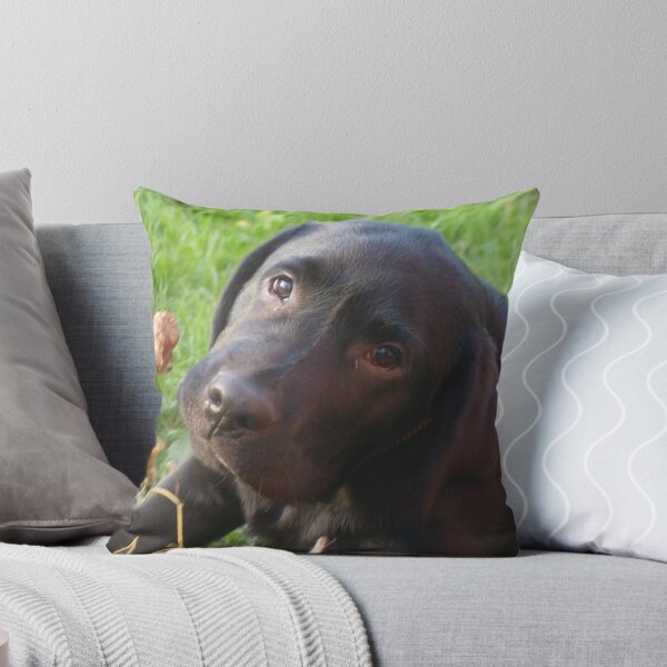 Item preview, <3 designed and sold by Ianua.