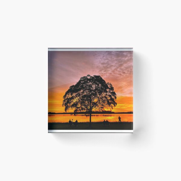 Item preview, Sunset Series: Burning sky over the lonely tree designed and sold by guoshengz.