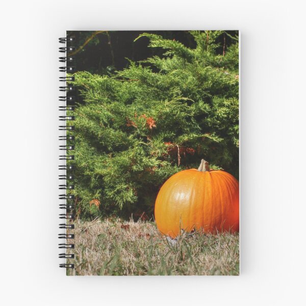 Item preview, Pumpkins! designed and sold by Vicki Spindler (VHS Photography).