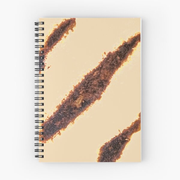 Item preview, Arepa - Grilled arepa marks designed and sold by mauisita.