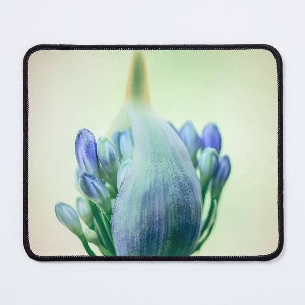 Item preview, Budding Agapanthus Flower designed and sold by Catherine Reading.