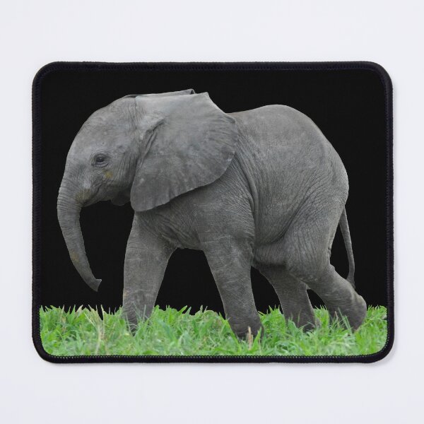 Item preview, Baby African Elephant 5 designed and sold by quentinjlang.