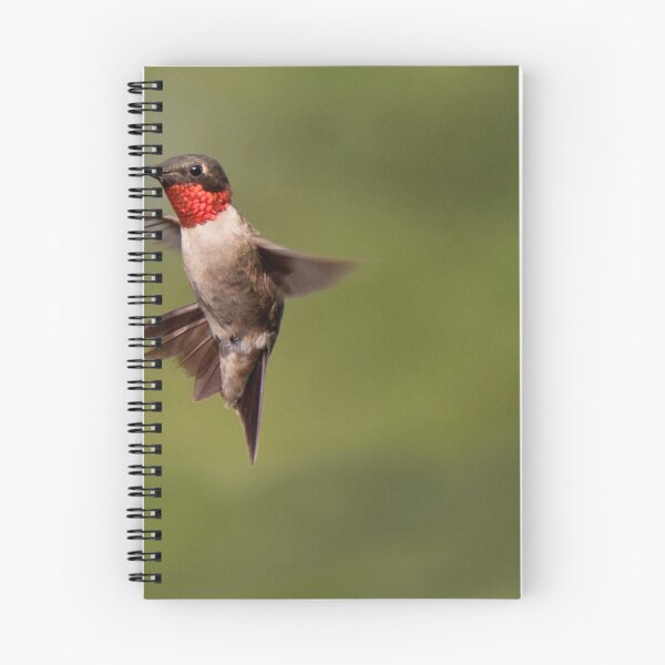 Item preview, Male Ruby Throat Hummingbird designed and sold by barnsis.
