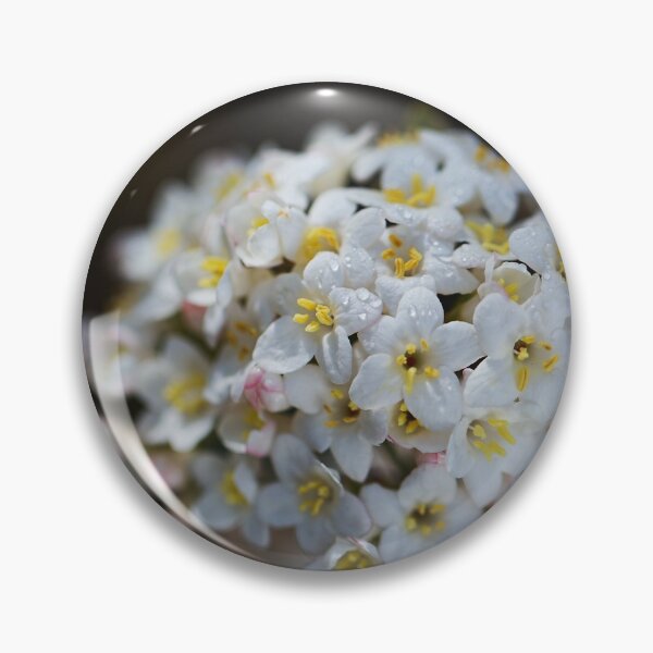 Item preview, Crabapple Tree Ball Flower designed and sold by Joy Watson - Natural Light Photography .