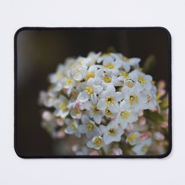 Item preview, Crabapple Tree Ball Flower designed and sold by Joy Watson - Natural Light Photography .