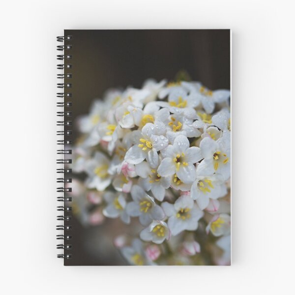 Item preview, Crabapple Tree Ball Flower designed and sold by Joy Watson - Natural Light Photography .