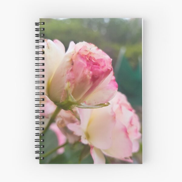Item preview, Budding Rose designed and sold by lorzathexplora.