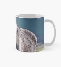 Hallo Tasse