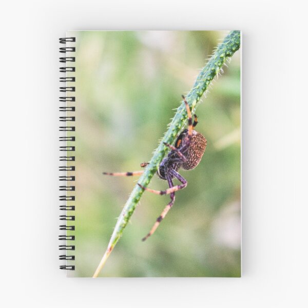 Item preview, Hanging Around designed and sold by Elysian Photography.