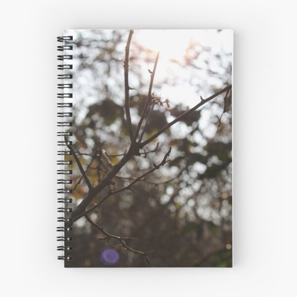 Item preview, Branch designed and sold by Florian Renard.