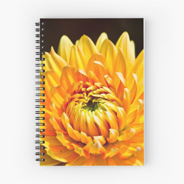 Item preview, Bright Yellow Chrysanthemum designed and sold by Vicki Field.