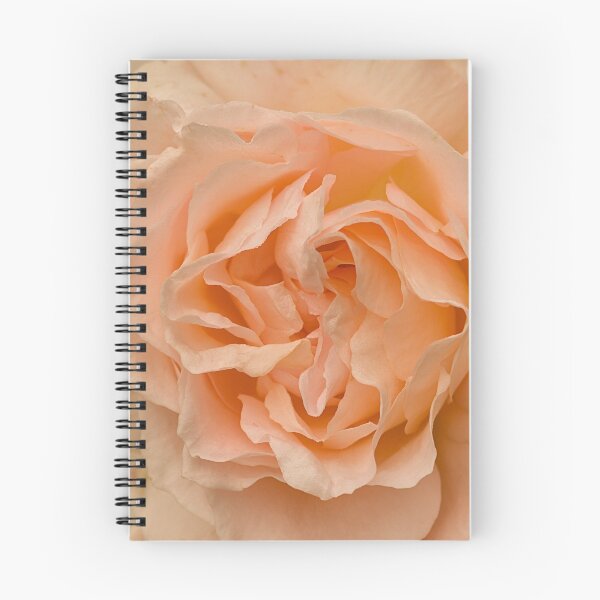 Item preview, Romantic Scented Tangerine Rose  designed and sold by jacqi.