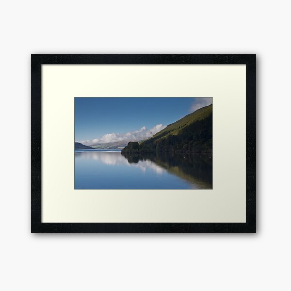 Framed Print