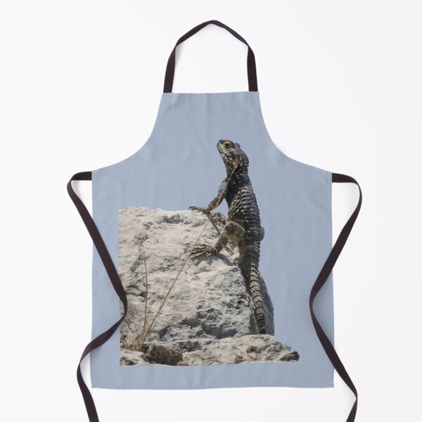Item preview, Lizard Sunbathing On A Rock Vector designed and sold by taiche.