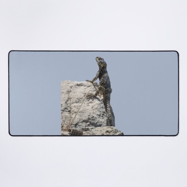 Lizard Sunbathing On A Rock Vector Desk Mat