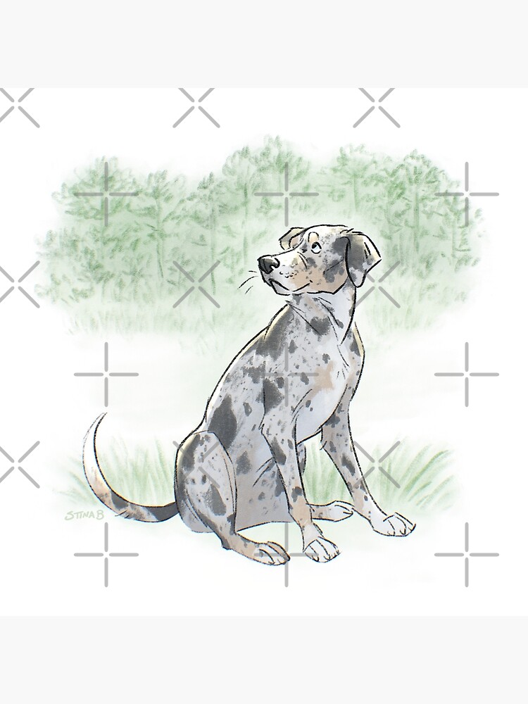 Catahoula Leopard Dog Art Print