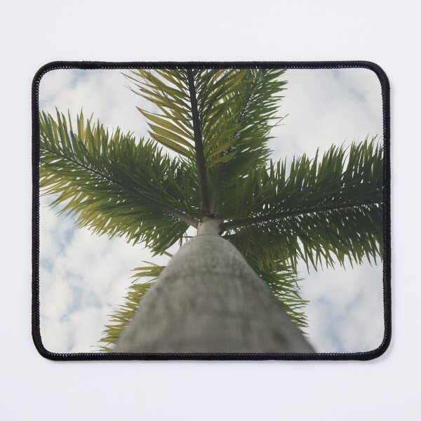 Item preview, Thailand Palm Tree designed and sold by sonkhran.