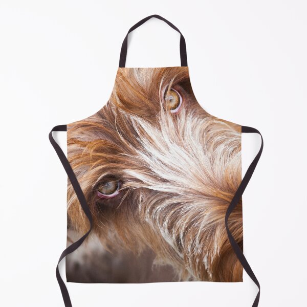 Item preview, Gazing up Spinone by heidiannemorris ©️ designed and sold by FOLK ART FUSION by heidiannemorris.