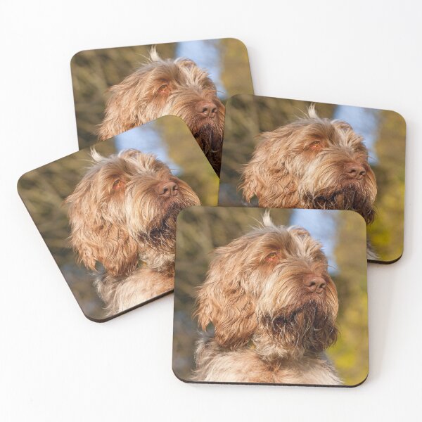Item preview, Spotted a bird Spinone designed and sold by FOLK ART FUSION by heidiannemorris.