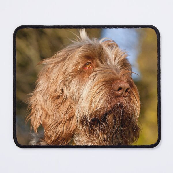 Item preview, Spotted a bird Spinone designed and sold by FOLK ART FUSION by heidiannemorris.