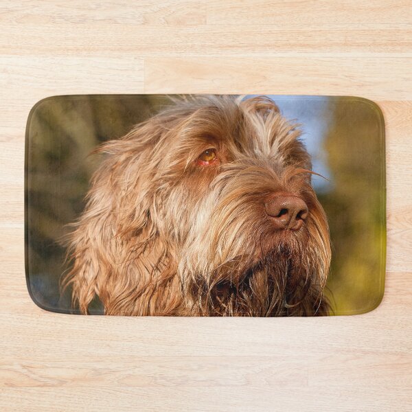 Item preview, Spotted a bird Spinone designed and sold by FOLK ART FUSION by heidiannemorris.