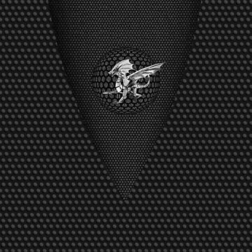 Artwork thumbnail, Flying Fire Dragon 1 by VkCases