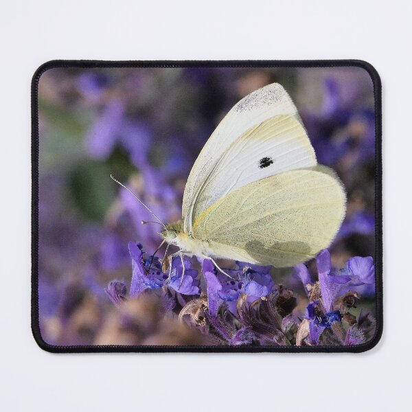 Item preview, Un Amour Love de  Papillons - Butterfly  3 (h)  Okaio Création & Olavia-Olao designed and sold by o.okaïo.