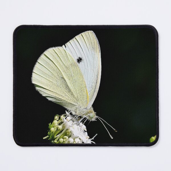 Item preview, Un Amour Love de Papillons - Butterfly 1 (h) Okaio Création & Olavia-Olao designed and sold by o.okaïo.