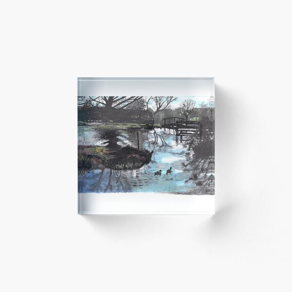 Item preview, Jardines Furzey, Reino Unido - Lago en invierno designed and sold by Jim Griffiths.
